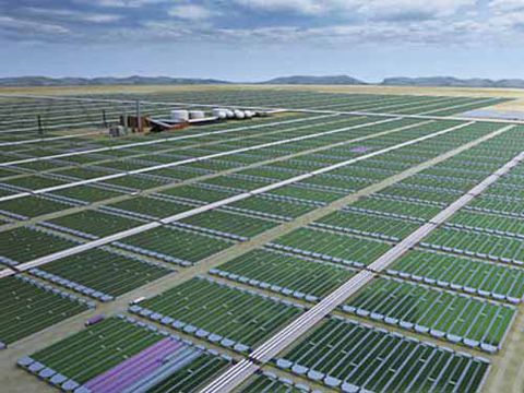Biofuel Company Secures $118 Mln To Produce Bioplastics