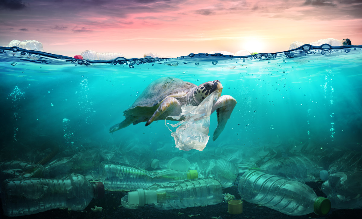 Padi Goes Ocean Plastics BY AXEL BARRETT